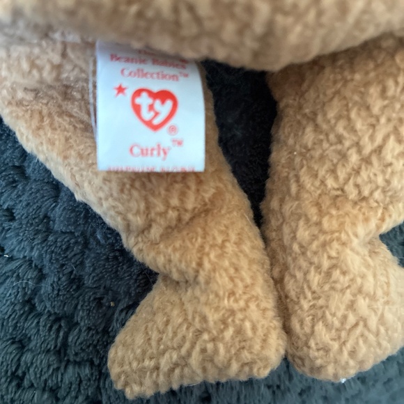 Cashew, holiday,Curly - Picture 13 of 14